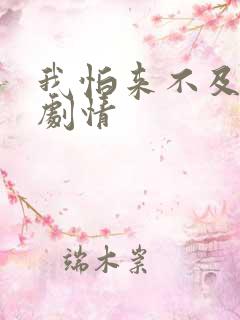 我怕来不及分集剧情