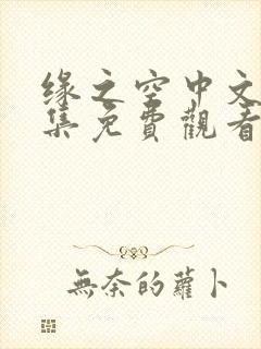 缘之空中文版全集免费观看