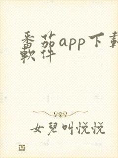 番茄app下载软件