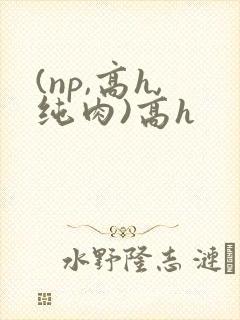 (np,高h,纯肉)高h