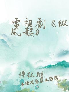 电视剧《纵有疾风起》