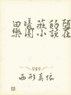 田曦薇的堕落娱乐圈小说在线阅读