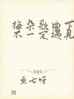 梅朵歌曲下辈子不一定遇见你原唱