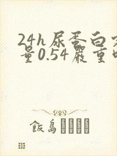 24h尿蛋白定量0.54严重吗