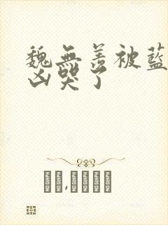 魏无羡被蓝忘机凶哭了