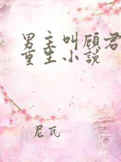 男主叫顾君年的重生小说