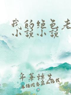 我的绝色老板娘小说小说