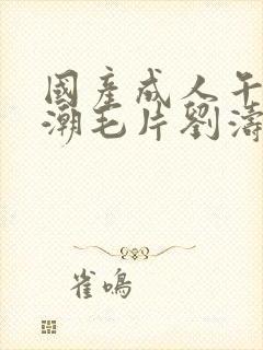 国产成人午夜高潮毛片刘涛