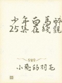少年白马醉春风25集在线观看免费