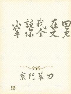 小说我在回忆里等你全文免费阅读