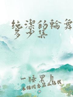 纯洁的轮舞曲有多少集