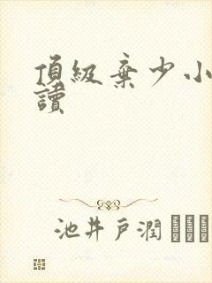 顶级弃少小说阅读