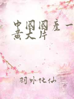 中国国产一级特黄大片