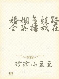 婚姻多歧路短剧全集播放在线观看