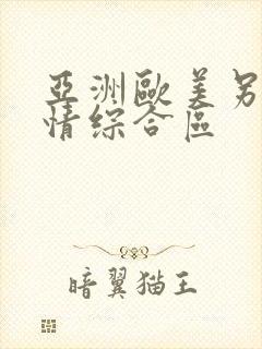 亚洲欧美另类激情综合区