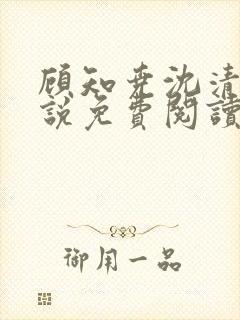 顾知尧沈清河小说免费阅读