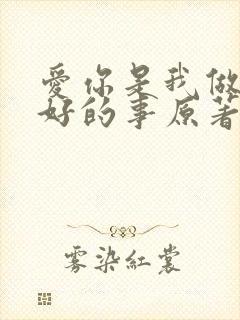 爱你是我做过最好的事原著小说