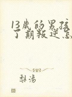 13岁的男孩到了期叛逆怎么教