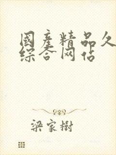 国产精品久久久综合网站