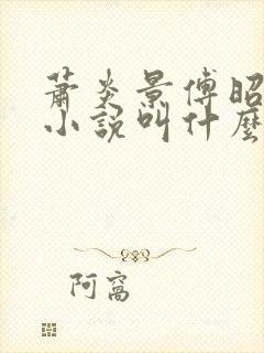 萧炎景傅昭宁的小说叫什么