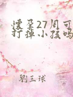 怀孕27周可以打掉小孩吗