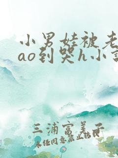 小男娃被老师cao到哭h小说