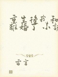 重生后我和渣男离婚了 小说