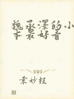 魏承泽的小说哪本最好看