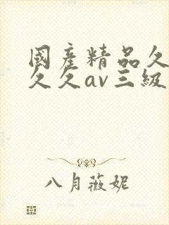 国产精品久久久久久av三级