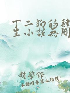 丁二狗的肆意人生小说无删减下载