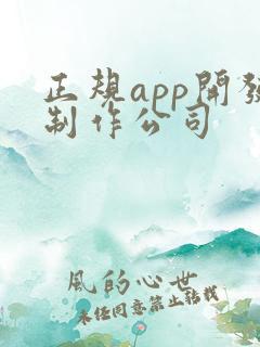 正规app开发制作公司