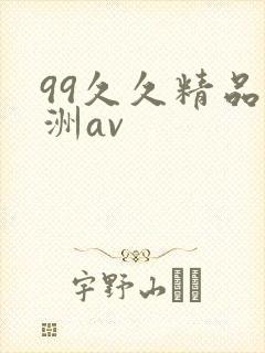 99久久精品亚洲av