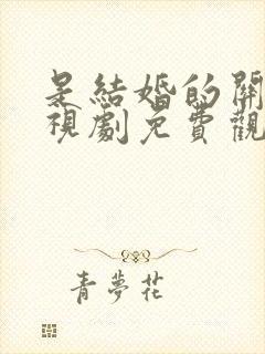 是结婚的关系电视剧免费观看