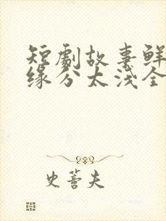 短剧故事鲜艳而缘分太浅全集