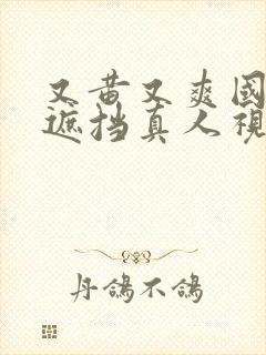 又黄又爽国产无遮挡真人视频