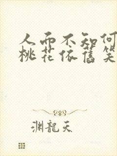 人面不知何处去桃花依旧笑春风啥意思