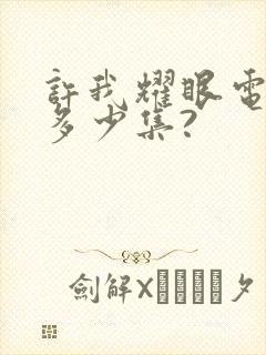 许我耀眼电视剧多少集?