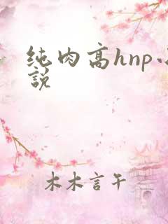 纯肉高hnp小说