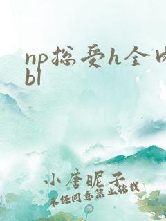np总受h全肉bl