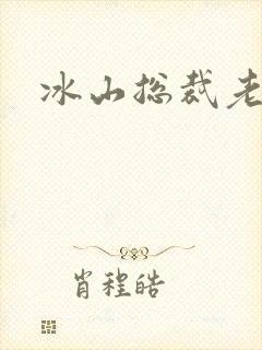 冰山总裁老婆
