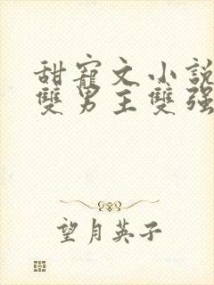 甜宠文小说推荐双男主双强