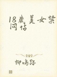 18岁美女禁止网站