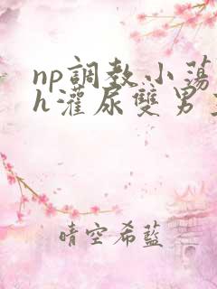 np调教小荡货h灌尿双男主