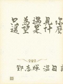 只为遇见你一生遥望是什么歌