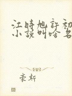 江时旭许初念的小说叫啥名字