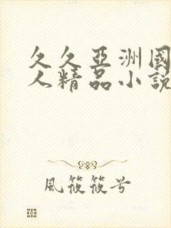 久久亚洲国产成人精品小说