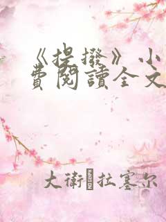 《提拨》小说免费阅读全文