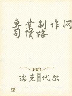 专业制作网页公司价格