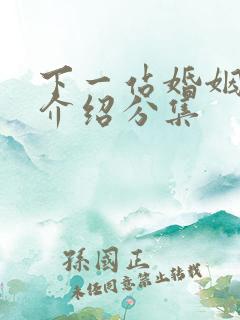 下一站婚姻剧情介绍分集