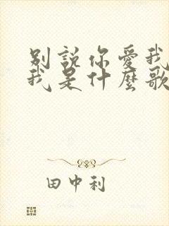 别说你爱我你想我是什么歌